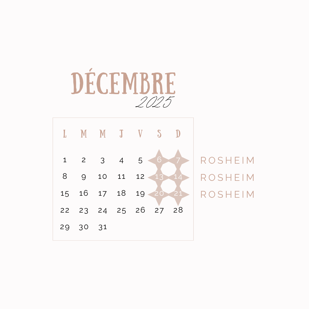Marches_de_Noel_Decembre_2025_Rosheim - CréaEmeline