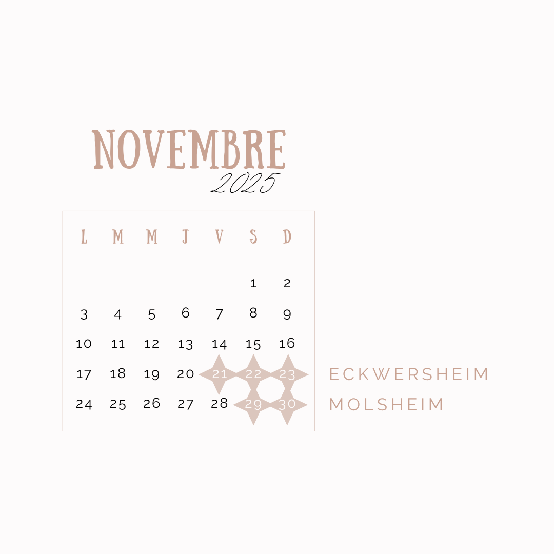 Marches_de_Noel_Novembre_2025_Eckwersheim_Molsheim - CréaEmeline